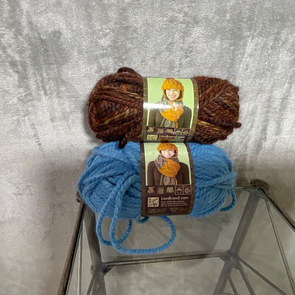 Lot of 2 Skeins Lion Brand Amazing Yarn GLACIER BAY Wool and Acrylic Blend